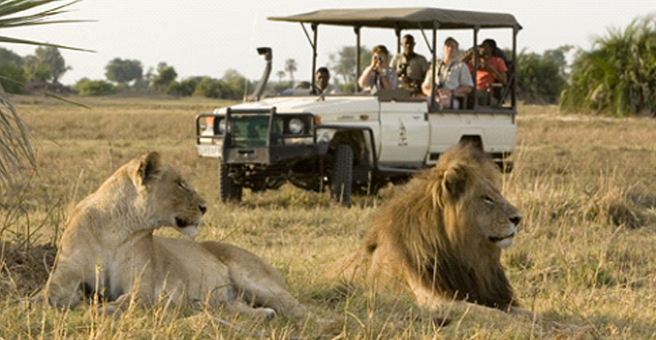 safari tour big five
